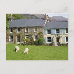 Cottages, Beddgelert, Gwynedd, Wales Postkarte