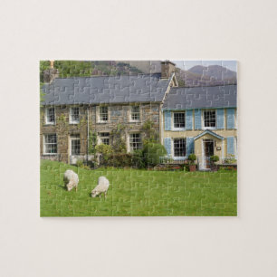 Cottages, Beddgelert, Gwynedd, Wales Puzzle