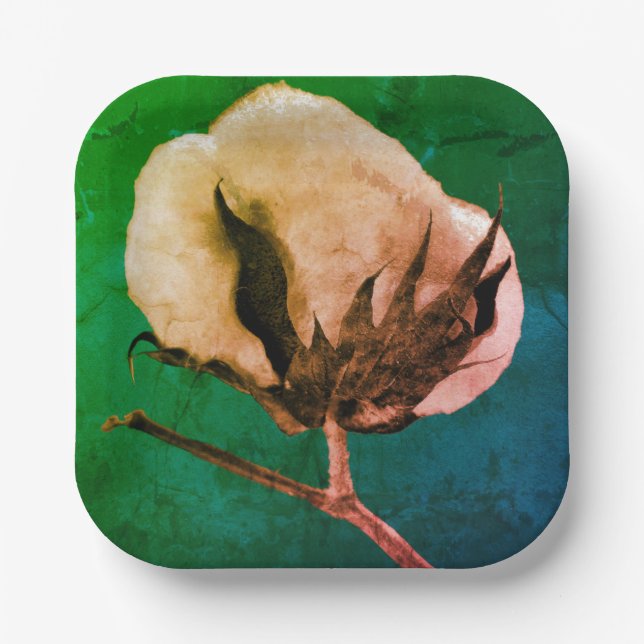 Cotton Boll Pappteller (Vorderseite)