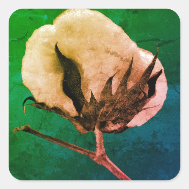 Cotton Boll Sticker (Vorderseite)