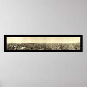 Cotton-Foto 1917 Poster