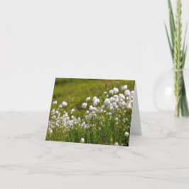 Cotton Grass Meadow - 4" x 5.6" Notecard Feiertagskarte