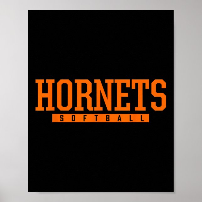 Cottondale Hornets Softll Hs  Poster (Vorne)