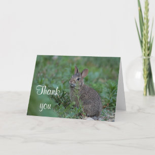 Cottontail Dankeskarte