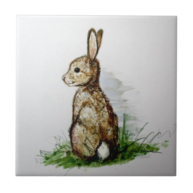 Cottontail . . . fliese (Vorderseite)