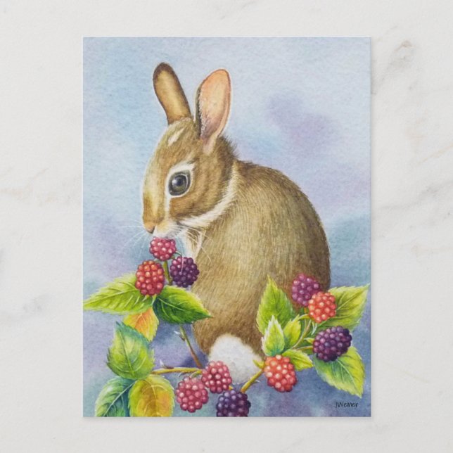 Cottontail Kaninchen und BlackBerry Kunst, Dichtun Postkarte (Vorderseite)
