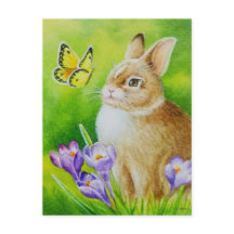 Cottontail Rabbit Butterfly Crocus
