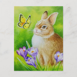 Cottontail Rabbit Butterfly Crocus Postkarte