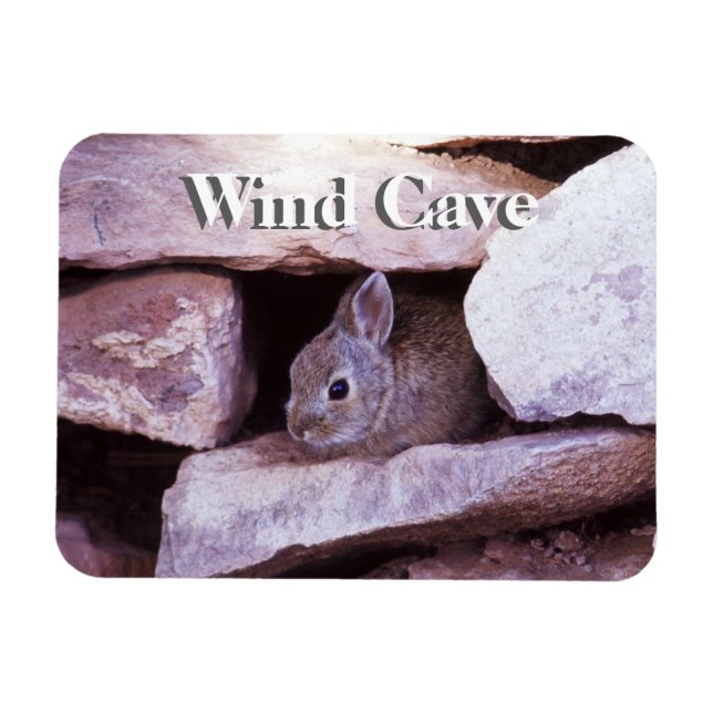 Cottontail Rabbit in Rocks Wind Höhle NP Magnet (Horizontal)