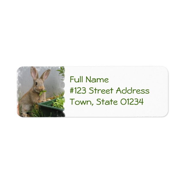 Cottontail Rabbit Mailing Labels (Vorne)
