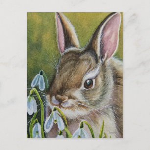 Cottontail Rabbit & Snowdrops Wasserfarben Kunst,  Postkarte