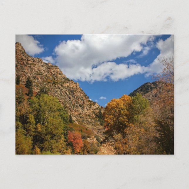 Cottonwood Canyon Landschaftlich Byway Herbst in U Postkarte (Vorderseite)