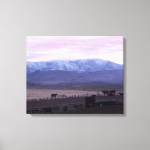 Cottonwood Mountain Sunset