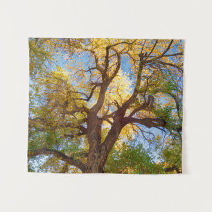 Cottonwood Tree Capitol Reef National Park, Utah Wandteppich