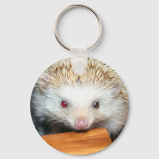 Cotty Igel Schlüsselanhänger