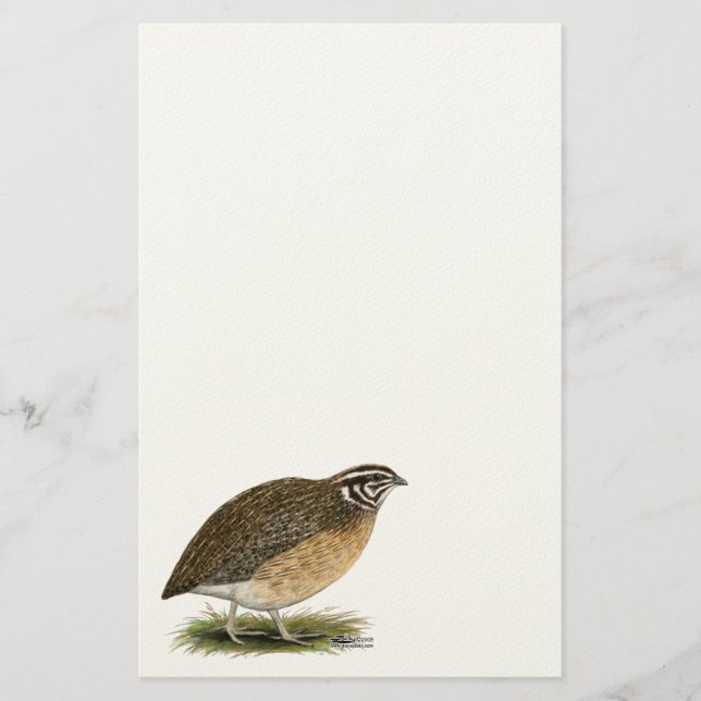 Coturnix Pharaoh Quail Briefpapier (Vorderseite)