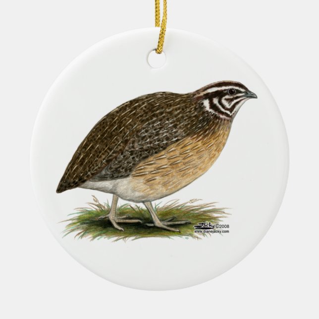 Coturnix Pharaoh Quail Keramikornament (Vorne)