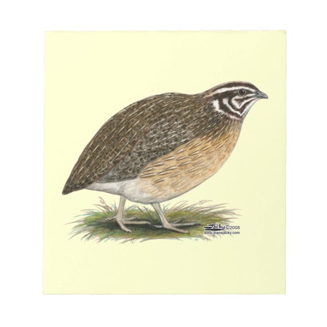 Coturnix Pharaoh Quail Notizblock (Vorderseite)