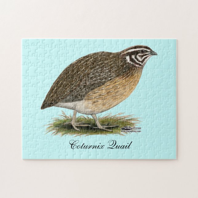 Coturnix Pharaoh Quail Puzzle (Horizontal)