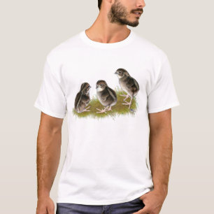 Coturnix Quail Chicks T-Shirt
