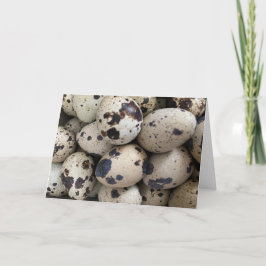 Coturnix Quail Egg Karte