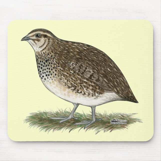 Coturnix Quail Hen Mousepad (Vorne)