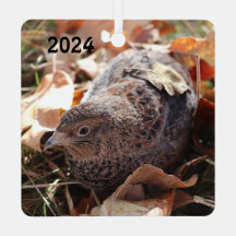 Coturnix Quail in den Blätter