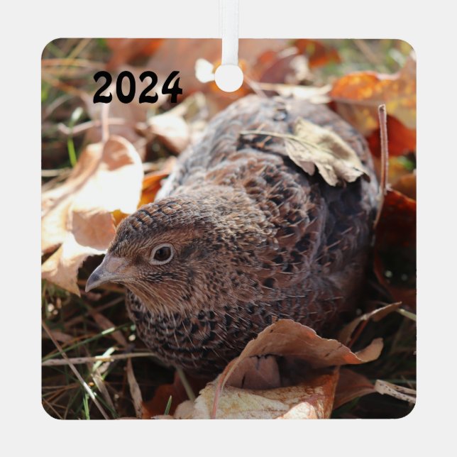 Coturnix Quail in den Blätter Ornament Aus Metall (Rückseite)
