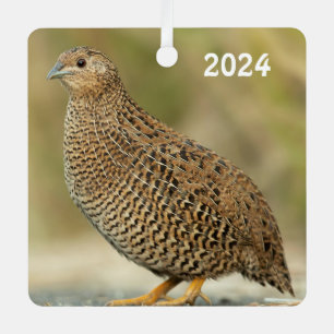 Coturnix Quail Ornament Aus Metall