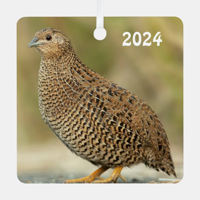 Coturnix Quail Ornament Aus Metall (Vorderseite)