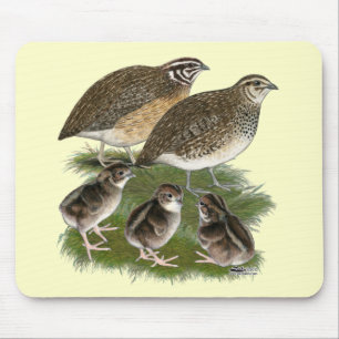 Coturnix-Wachtel-Familie Mousepad