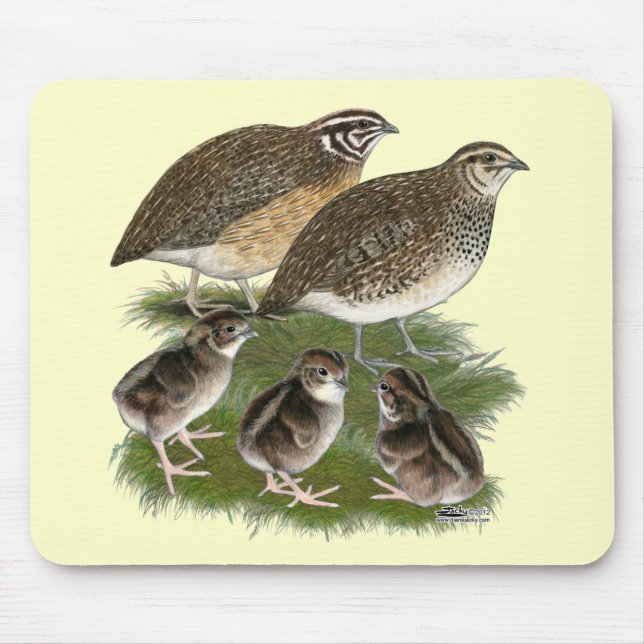 Coturnix-Wachtel-Familie Mousepad (Vorne)