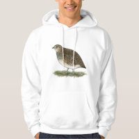 Coturnix-Wachtel-Henne
