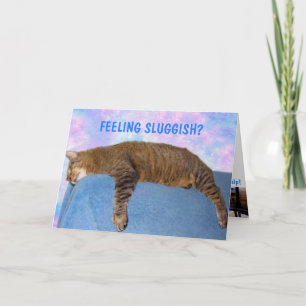 Couch Potato Sluggish Cat Get Well Card Karte