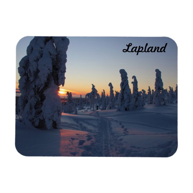 Couché de soleil sur la forêt eneigée en Laponie Magnet (Horizontal)