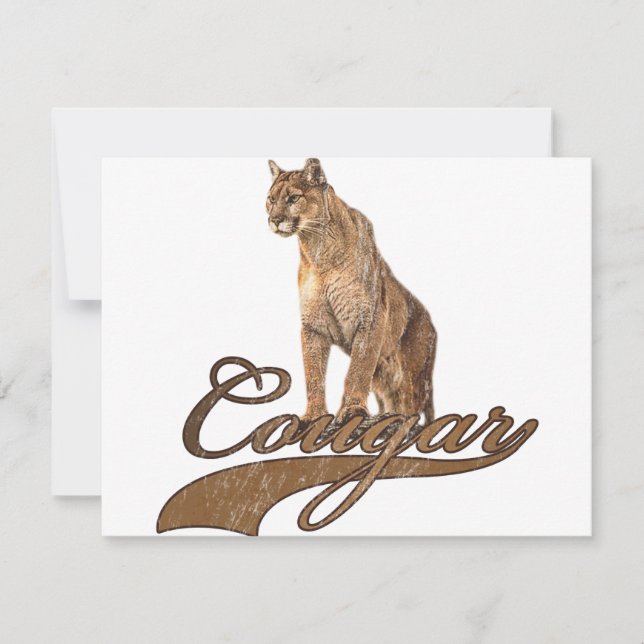 Cougar (Vorderseite)