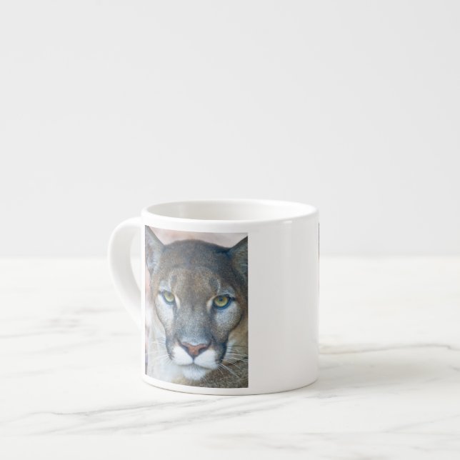 Cougar, Berglöwe, Panther Florida, Puma Espressotasse (Vorderseite Links)