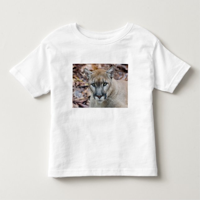 Cougar, Berglöwe, Panther Florida, Puma Kleinkind T-shirt (Vorderseite)