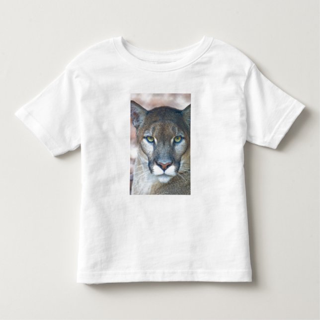Cougar, Berglöwe, Panther Florida, Puma Kleinkind T-shirt (Vorderseite)