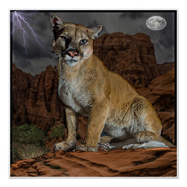 Cougar-Bergposter Poster (Vorderseite)