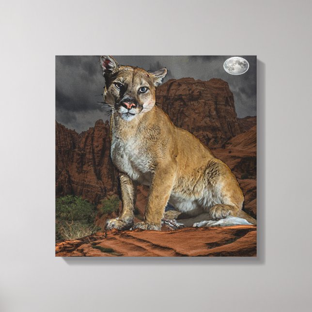 Cougar Canvas Print Leinwanddruck (Vorderseite)