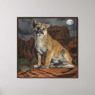 Cougar Canvas Print Leinwanddruck