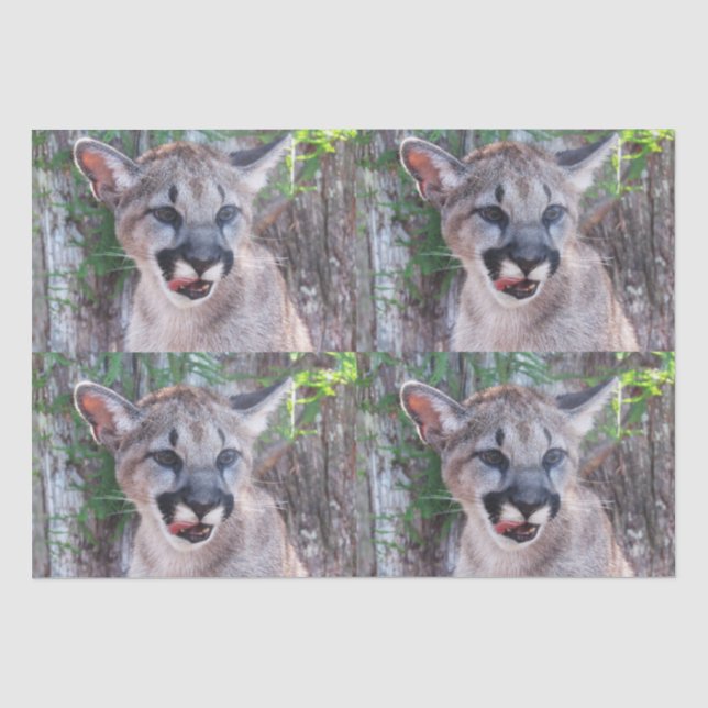 Cougar Cub Tissue Paper/Decoupage Paper Seidenpapier (Vorderseite)