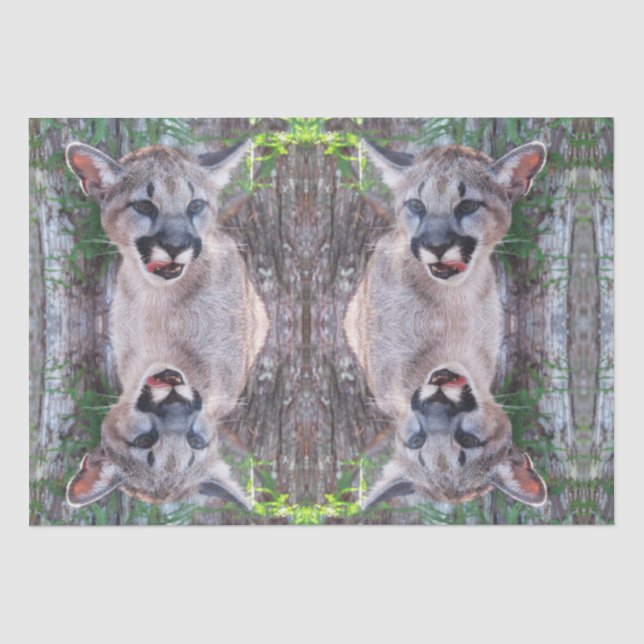 Cougar Cub Tissue Paper/Decoupage Paper Seidenpapier (Vorderseite)
