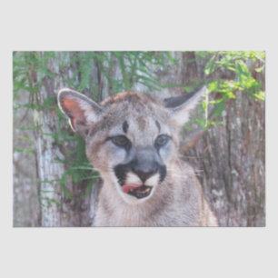 Cougar Cub Tissue Paper/Decoupage Paper Seidenpapier