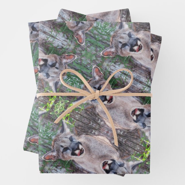 Cougar Cub Wrapping Paper Sheets Geschenkpapier Set (Beispiel)
