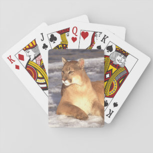Cougar-Erholung Spielkarten