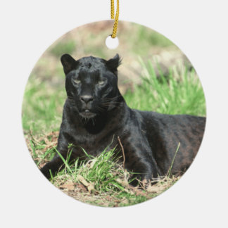 Cougar-Erholungs-Verzierung Keramik Ornament