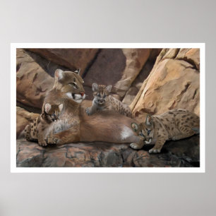 Cougar-Familie Poster