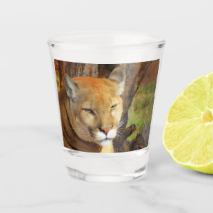 Cougar / Florida Panther / Puma Shotglas Schnapsglas